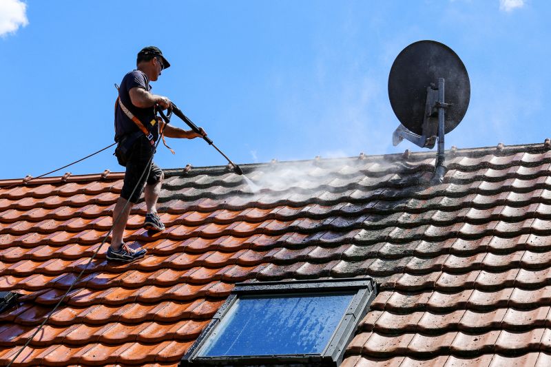 Roof Cleaning Service