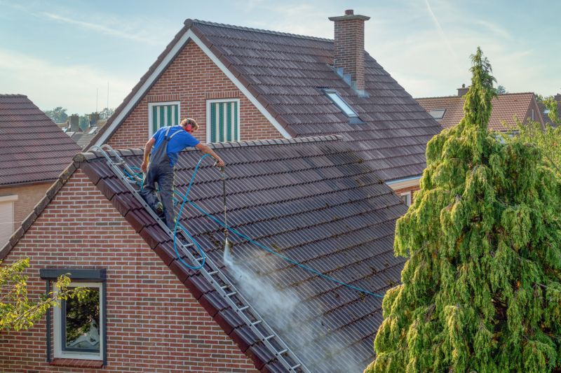 Roof Cleaning Service Cost — Cost of Roof Cleaning Service