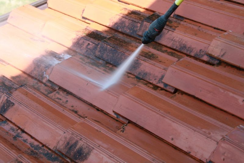 Roof Cleaning Service Cost — Cost of Roof Cleaning Service