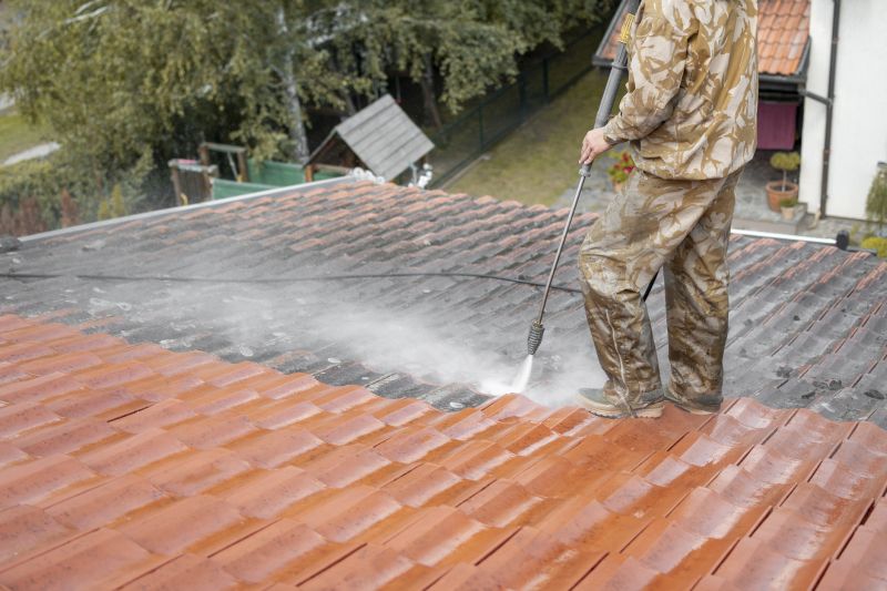 Roof Cleaning Service