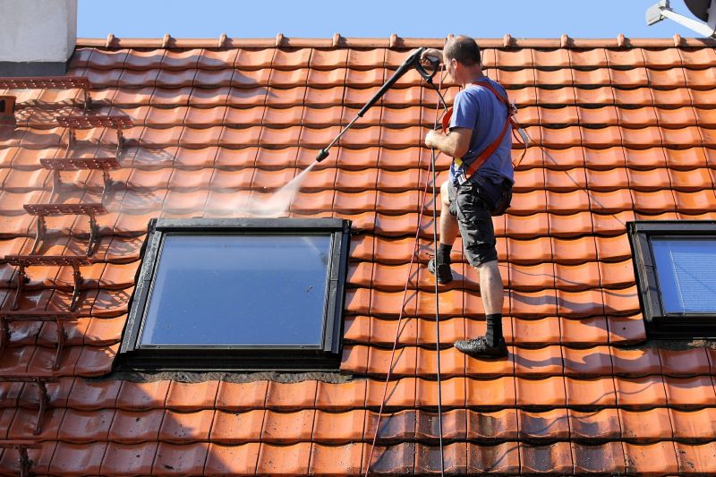 Roof Cleaning Service
