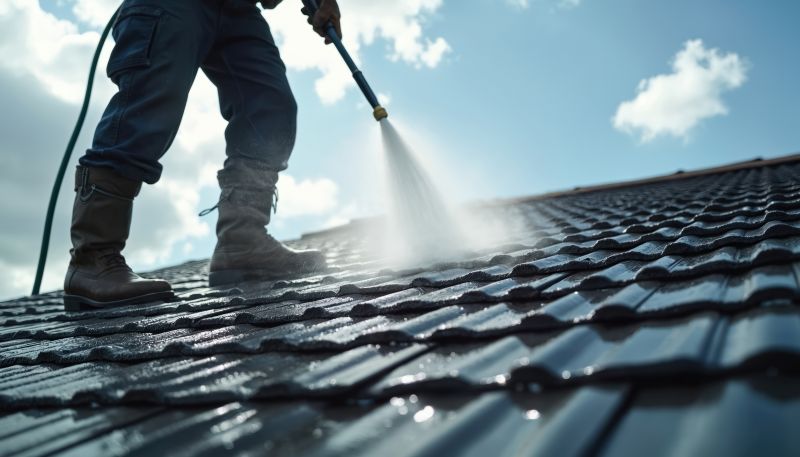 Roof Cleaning Service