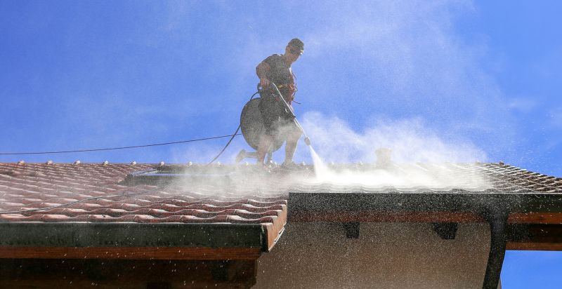 Roof Cleaning Service