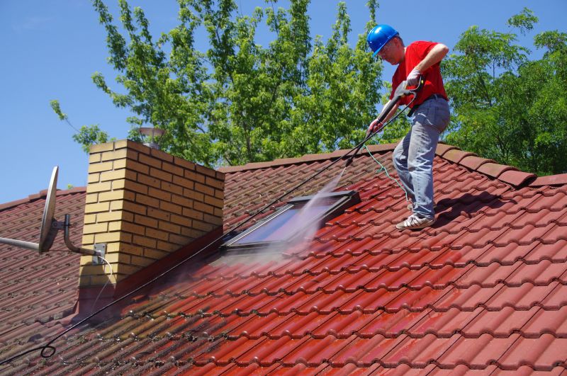 Roof Cleaning Service
