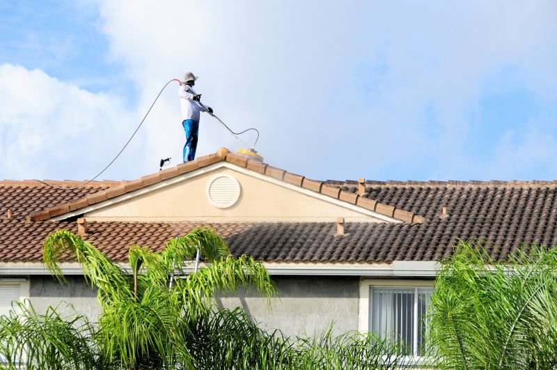 Roof Cleaning Service