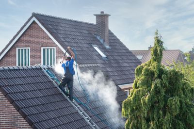 Roof Cleaning Service
