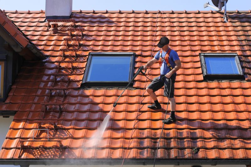 Professional Roof Cleaning