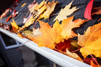 Remove Leaves and Debris!